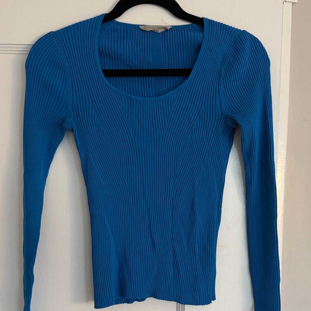 Everlane Vibrant Blue Long Sleeve Ribbed Top